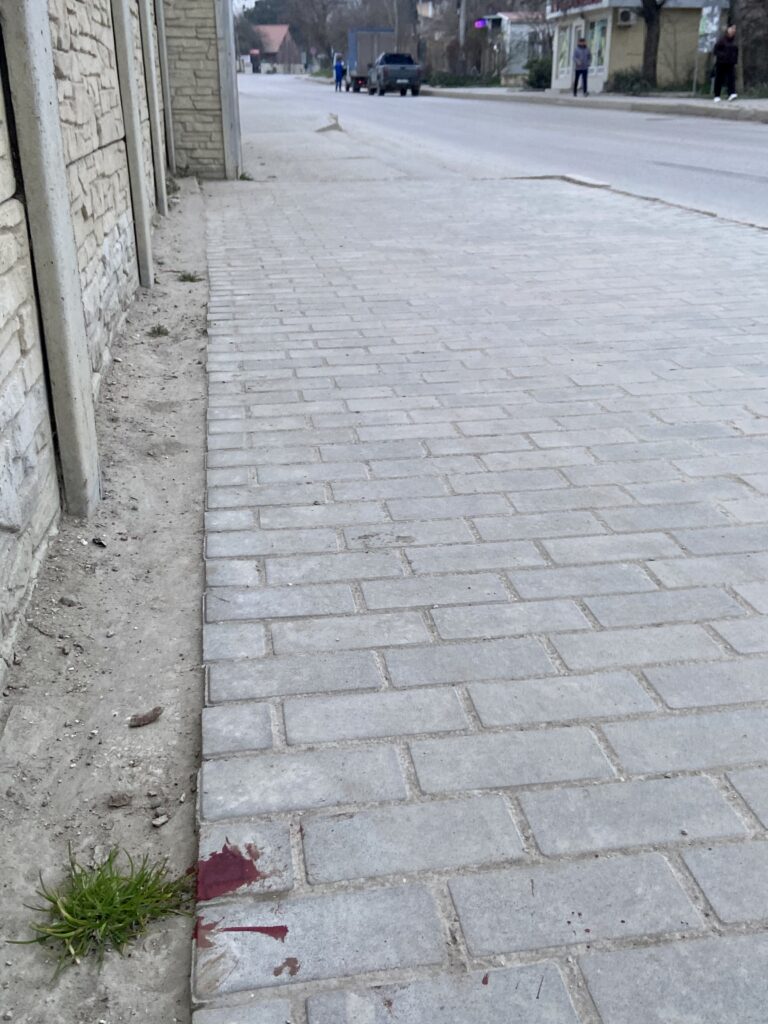 ДТП с собакой в Коктебеле: пешеходный переход у школы, водитель уехал с места происшествия. Место ДТП с собакой у школы в Коктебеле